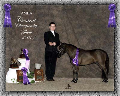 Central champ show photo