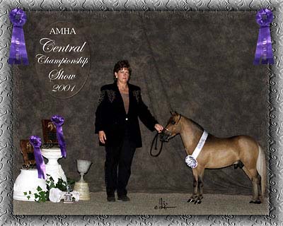 Central champ show photo