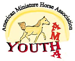 AMHA Youth Logo